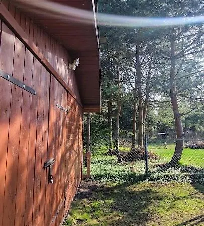 Bez Pospiechu Mazury