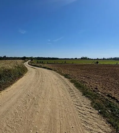 Bez Pospiechu Mazury *