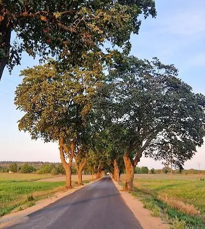 Bez Pospiechu Mazury Suchy Rog