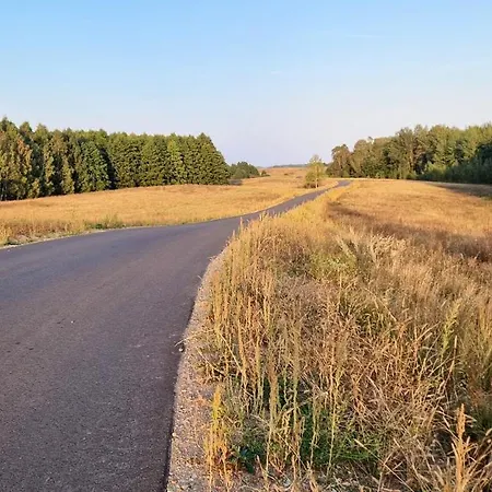 Bez Pospiechu Mazury